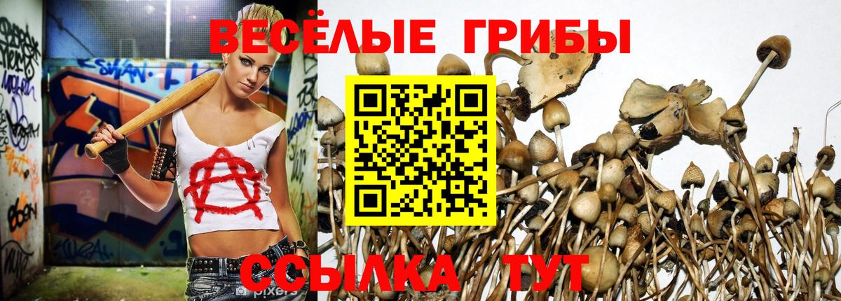 Псилоцибиновые грибы MAGIC MUSHROOMS Верхняя Салда